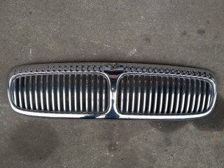 Daimler grille surround with infils